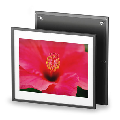 A beautiful hibiscus flower printed on a framed matte poster