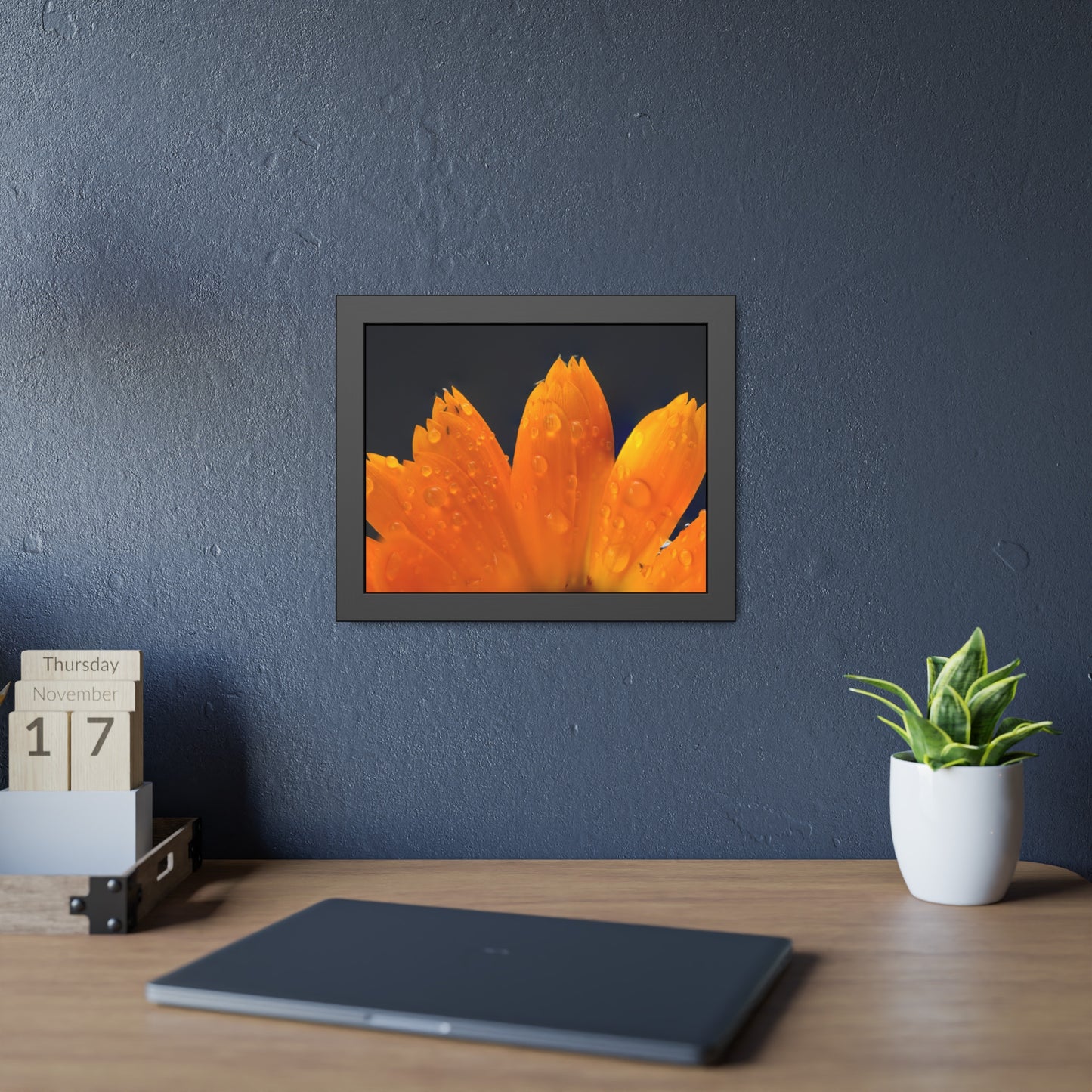 Orange flower petals drenched in dew printed on a framed paper poster