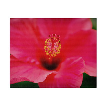 A beautiful hibiscus flower printed on a stretched matte canvas