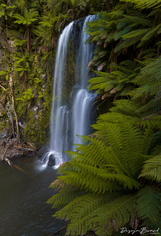 Beauchamp Falls by DesignBoard Photography 13