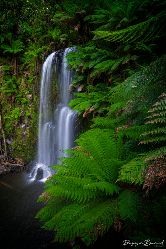 Beauchamp Falls by DesignBoard Photography 11