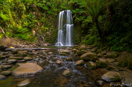 Beauchamp Falls by DesignBoard Photography 10