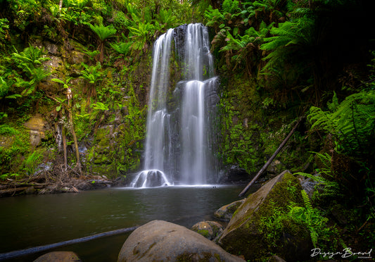 Beauchamp Falls by DesignBoard Photography 12