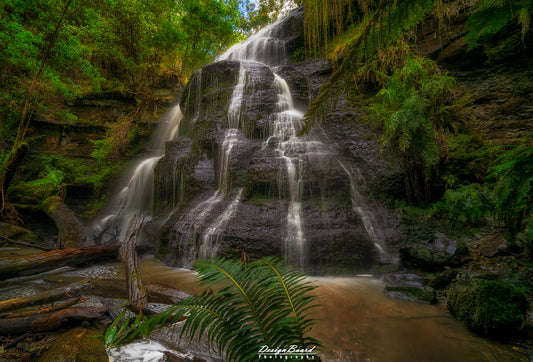 Henderson Falls by DesignBoard Photography 30