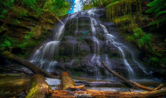 Henderson Falls by DesignBoard Photography 31