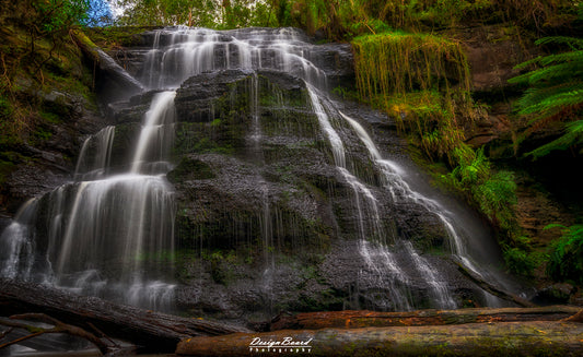 Henderson Falls by DesignBoard Photography 32