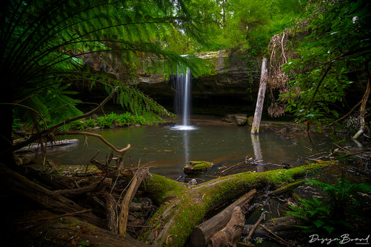 Lower Kalimna Falls by DesignBoard Photography 18