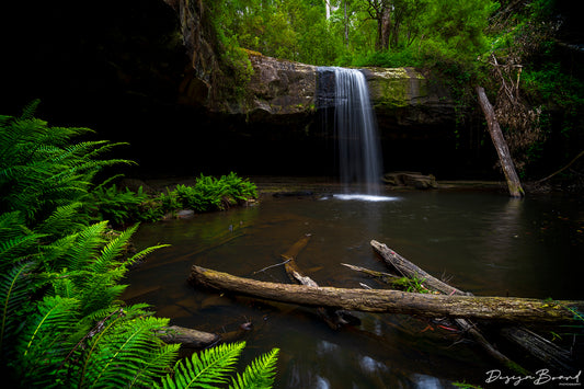 Lower Kalimna Falls by DesignBoard Photography 22