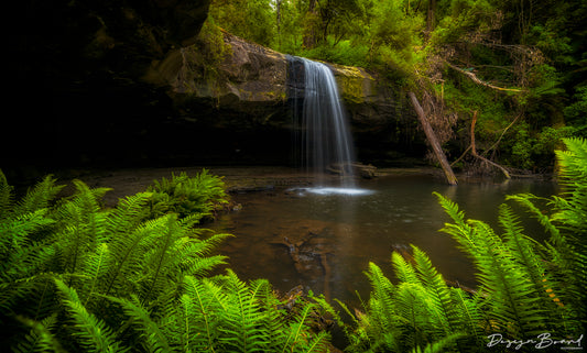 Lower Kalimna Falls by DesignBoard Photography 21