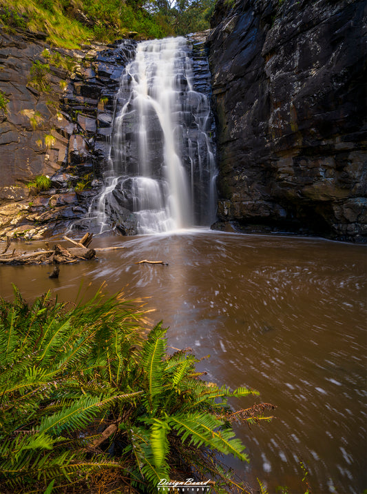 Sheoak Falls by DesignBoard Photography 26