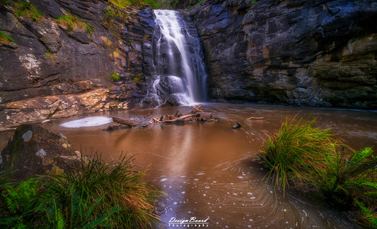 Sheoak Falls by DesignBoard Photography 27