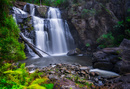 Stevenson Falls by DesignBoard Photography 15