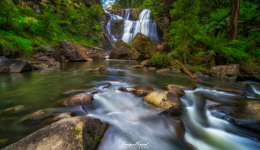 Stevenson Falls by DesignBoard Photography 16